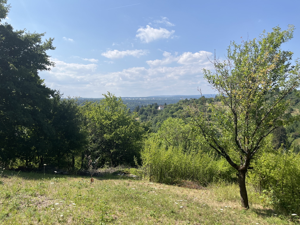 22-07-24 11-41-22 1698